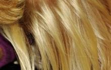 Желтизна волос после окрашивания – не повод отчаиваться